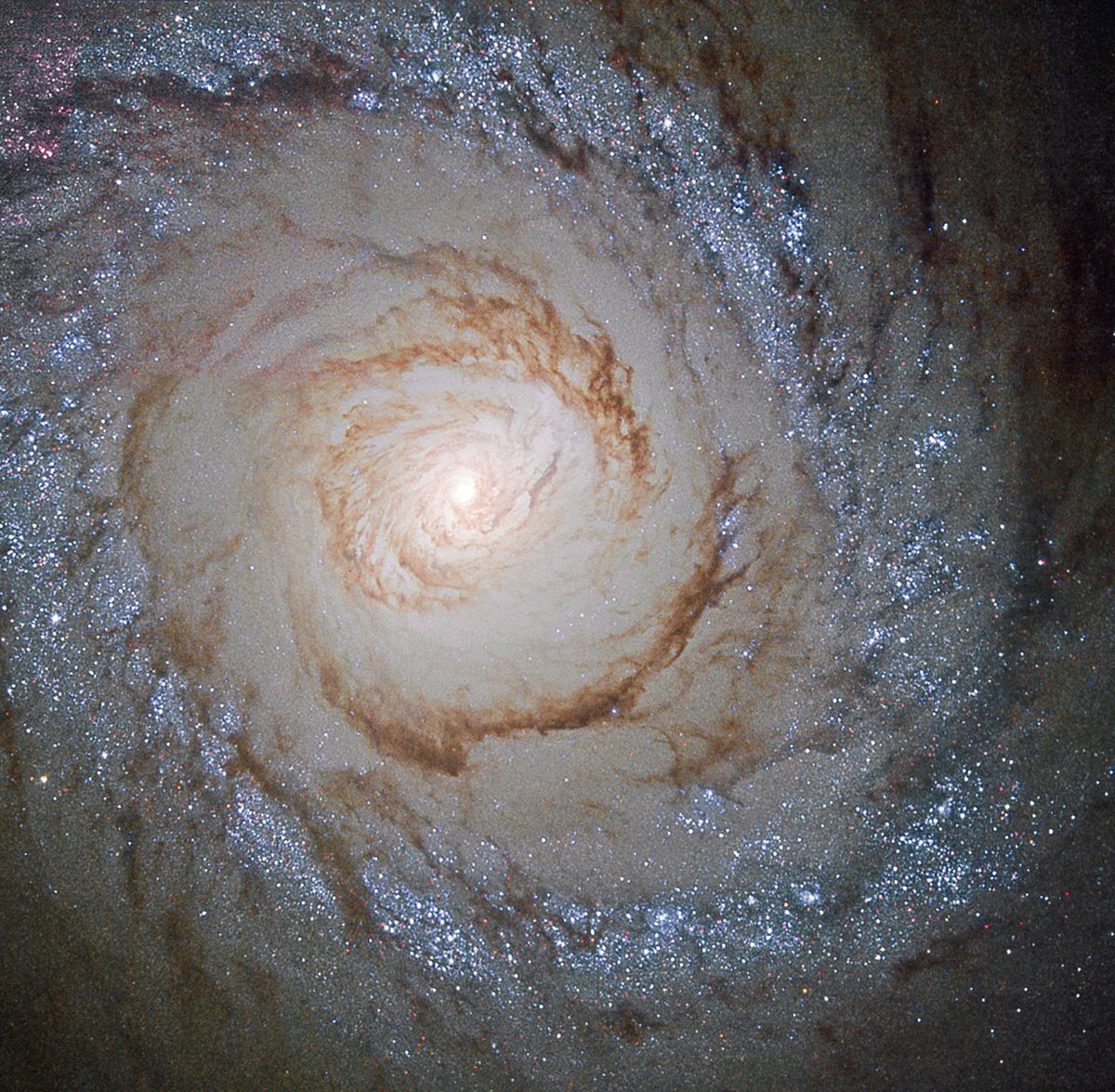 A Hubble View of Starburst Galaxy Messier 94 

(Credit: ESA, NASA)