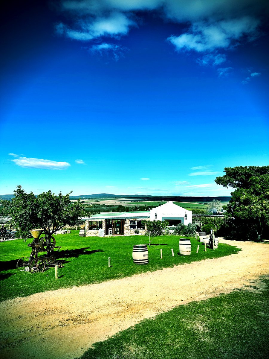 Stanford Hills Estate wine farm 🍷 🌞 Hermanus 🇿🇦