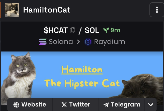 HamiltonCat tweet media