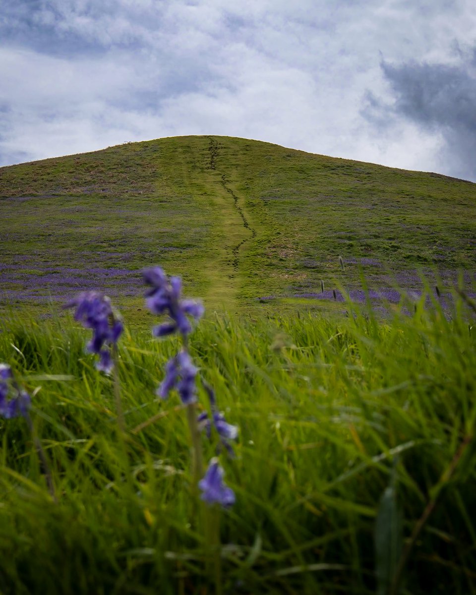 Cam Peak 🌿 

#campeak #dursley #gloucestershire #bluebells #spring #SpringVibes #flowers #nature #photography #ThePhotoHour #stormhour #sky #purple #landscape #photooftheday