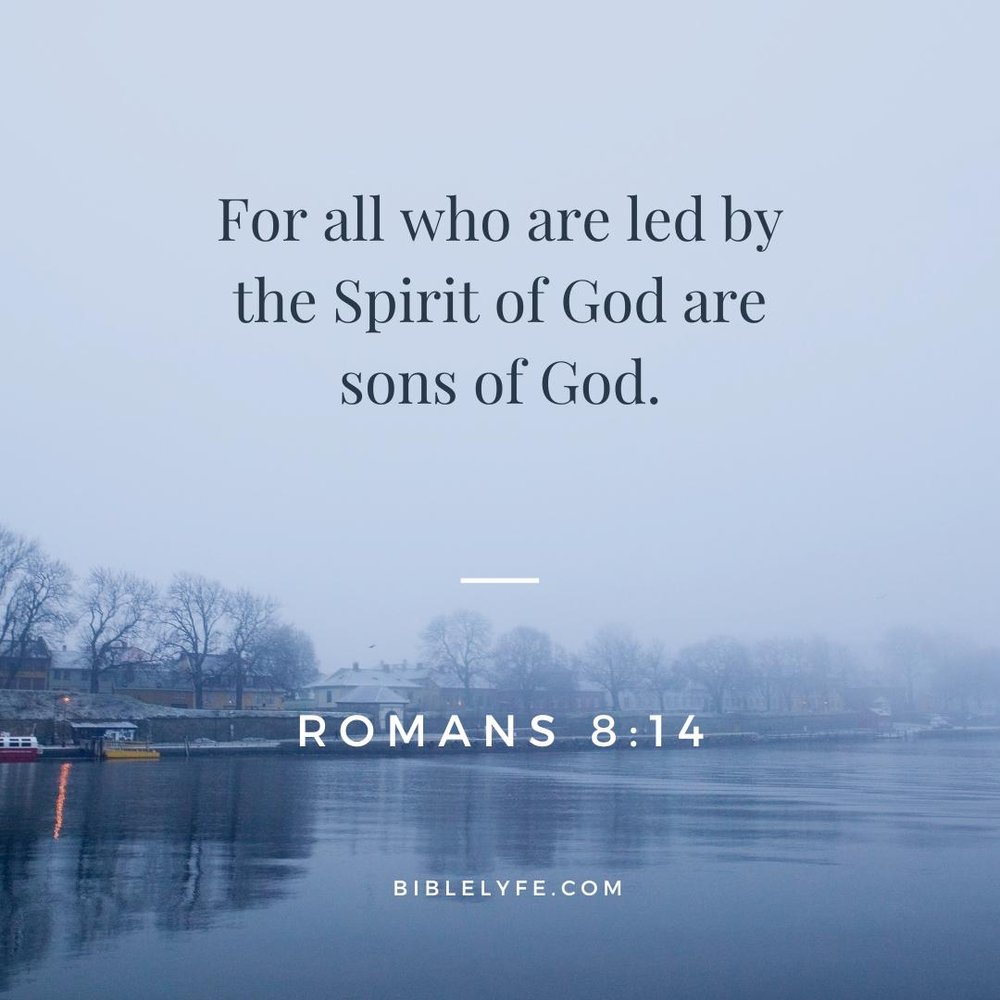 Thank you God for sending us The Holy Spirit to teach us and help us understand your word ❤️🕊️🕊️🕊️🕊️

Galatians 5:16
But I say, walk by the Spirit, and you will not gratify the desires of the flesh.

Romans 8:14
For all who are led by the Spirit of God are sons of God.

#GodWins