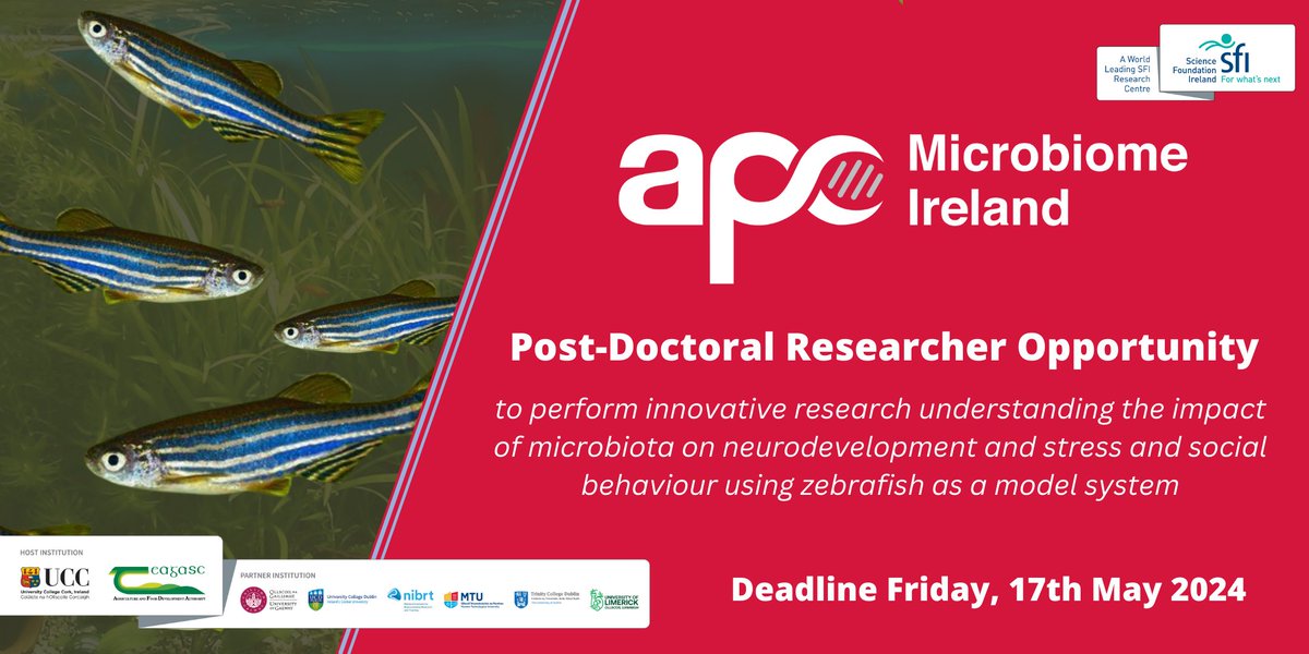 APC is recruiting a Post-Doctoral Researcher to perform innovative research understanding the impact of microbiota on neurodevelopment and stress and social behaviour using zebrafish as a model system. Supervisors: @JatinNagpal87 & @jfcryan Full details: bit.ly/4a1HTRf