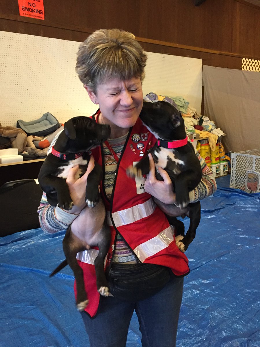 Happy Nurses Week. The American Red Cross celebrates our nurse volunteers this Nurses Week!! Today we take time to honor Nancy Boosveld for her contributions to helping those need as a member of our Disaster Health Services Team. #NursesWeek #Celebrate #RedCross #volunteer