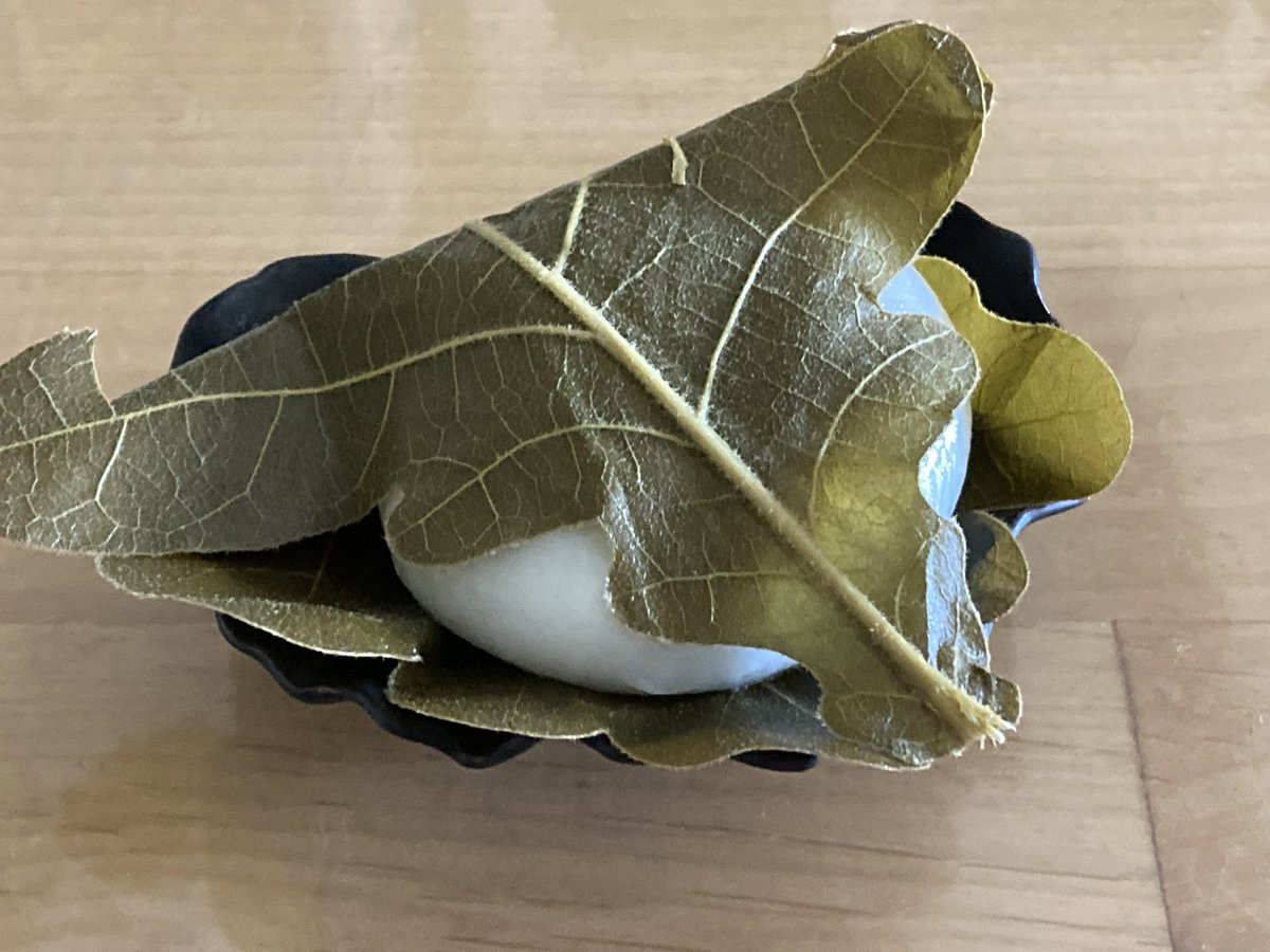 The “Golden Week” holiday is now over in Kyoto. On May 5th, we celebrated “Children’s Day”, hoping for a happy and healthy growth of children. We displayed an ornament of ‘Kabuto’, a traditional samurai helmet, and enjoyed traditional sweets. #IUPAB2024 is less than 50 days away!