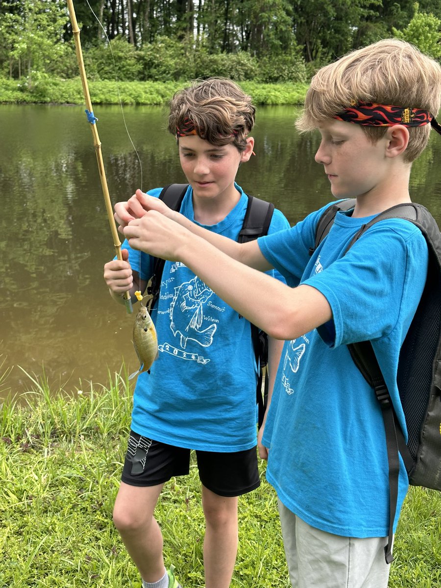 Julie Thorp tweet media