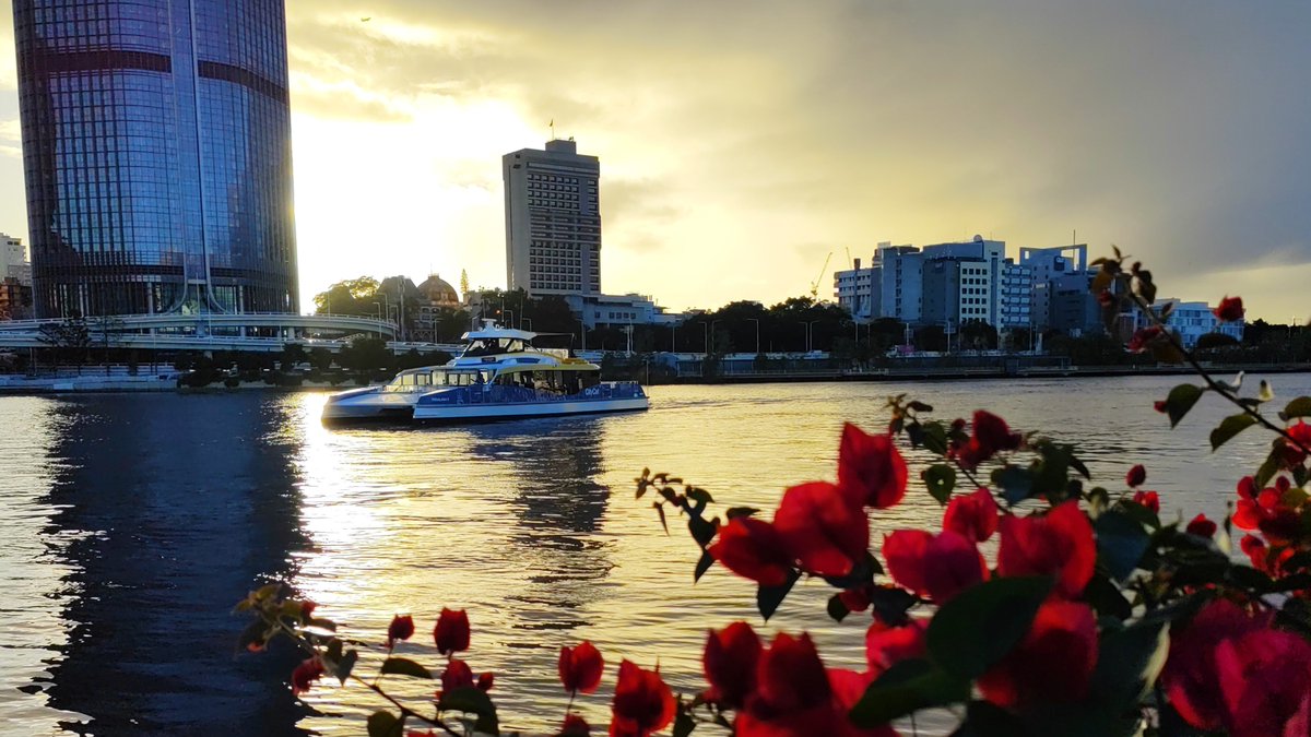Early Brisbane River on Tuesday morning #viewsofbrisbane #citycat @VisitSouthBank @TonyAuden @georgiacosti @AlissaSmithTV @rachbaxter7 @annamcgraw_7