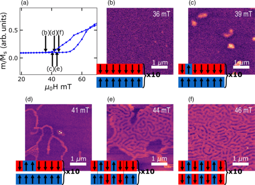 #PRBTopDownload: Phase coexistence and transitions between #antiferromagnetic and #ferromagnetic states in a synthetic antiferromagnet

C. E. A. Barker et al.,
Phys. Rev. B 109, 134437 – Published 26 April 2024
#OpenAccess @APSPhysics #condmat #physics

➡️ go.aps.org/3wm7Tcl