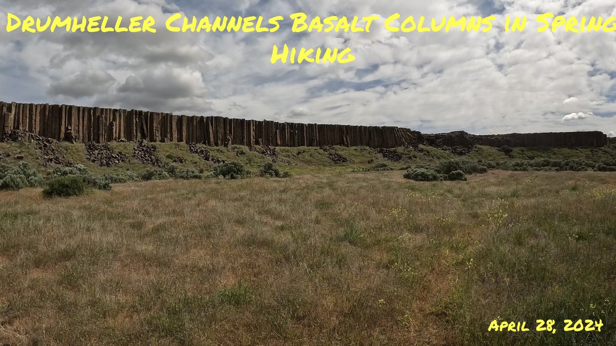Strolling through some of the best preserved evidence of the Missoula Floods at Drumheller Channels and it’s perfect columns #pnw #hiking #desert #basalt #columns #iceagefloods #wildflowers #CouleeOutdoors

youtu.be/GM4oWxJpxp0?si…