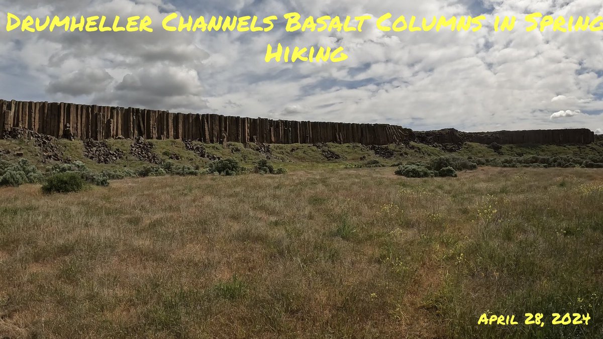 Strolling through some of the best preserved evidence of the Missoula Floods at Drumheller Channels and it’s perfect columns #pnw #hiking #desert #basalt #columns #iceagefloods #wildflowers #CouleeOutdoors 

youtu.be/GM4oWxJpxp0?si…