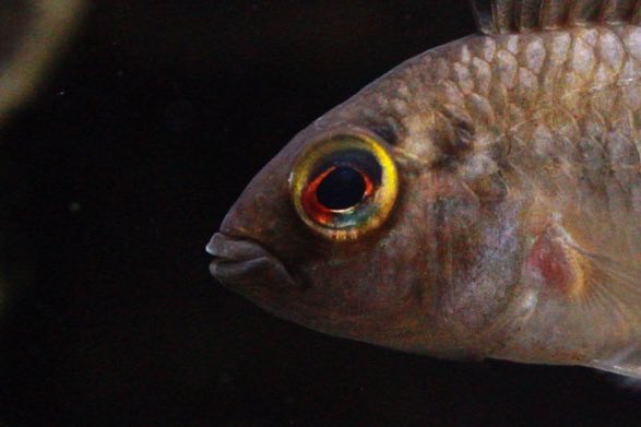 目がいってる🤣