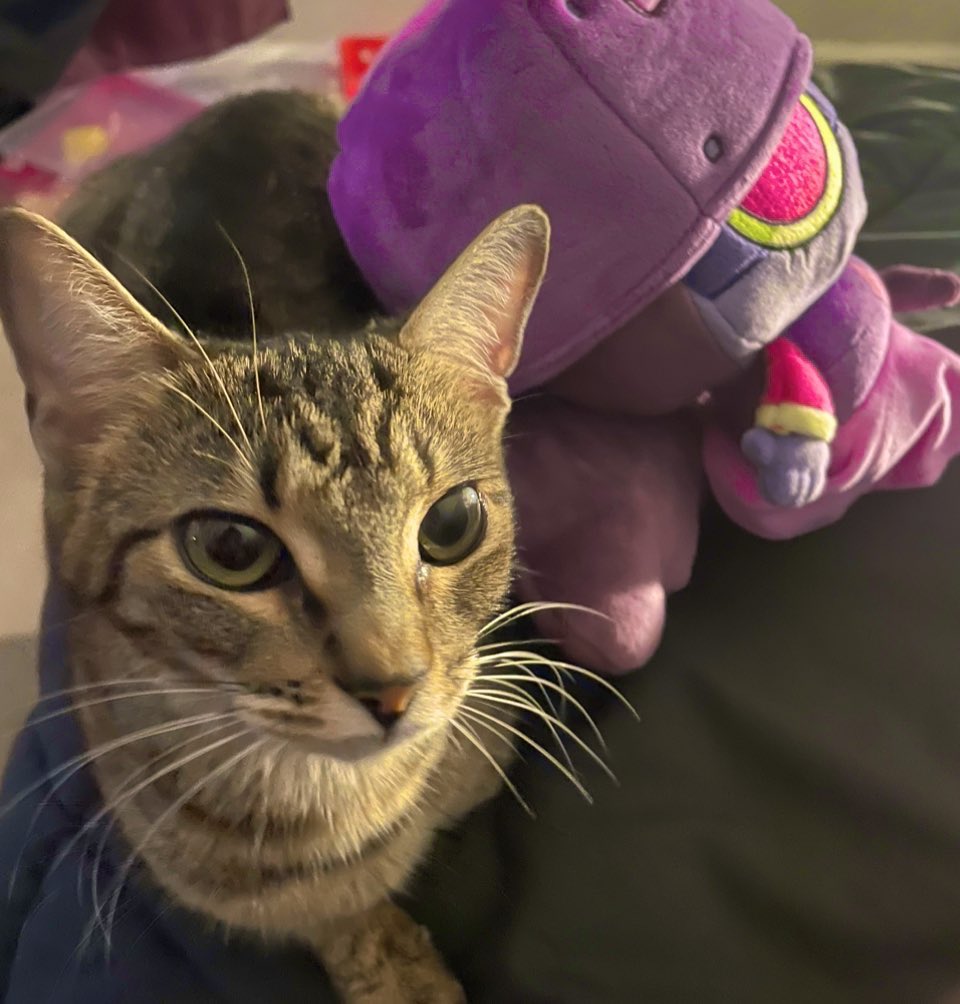 KadePixell's tweet image. Scarletta 1!1!1!1 :D they best friends