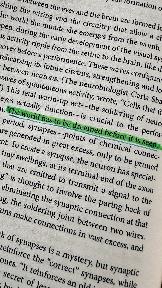 Dr. Siddhartha Mukherjee books are always kind of some scientific poetry ✨