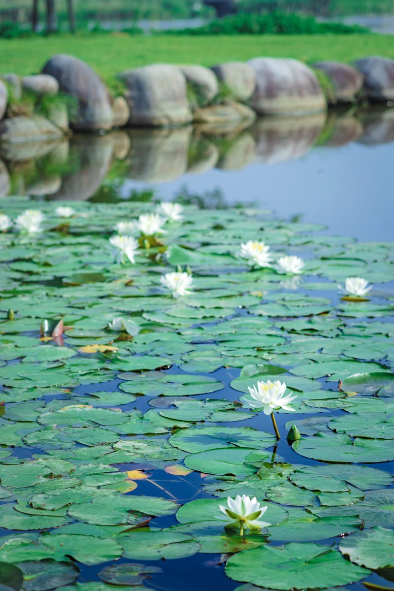 ちょっとひとやすみ

#photography #photo