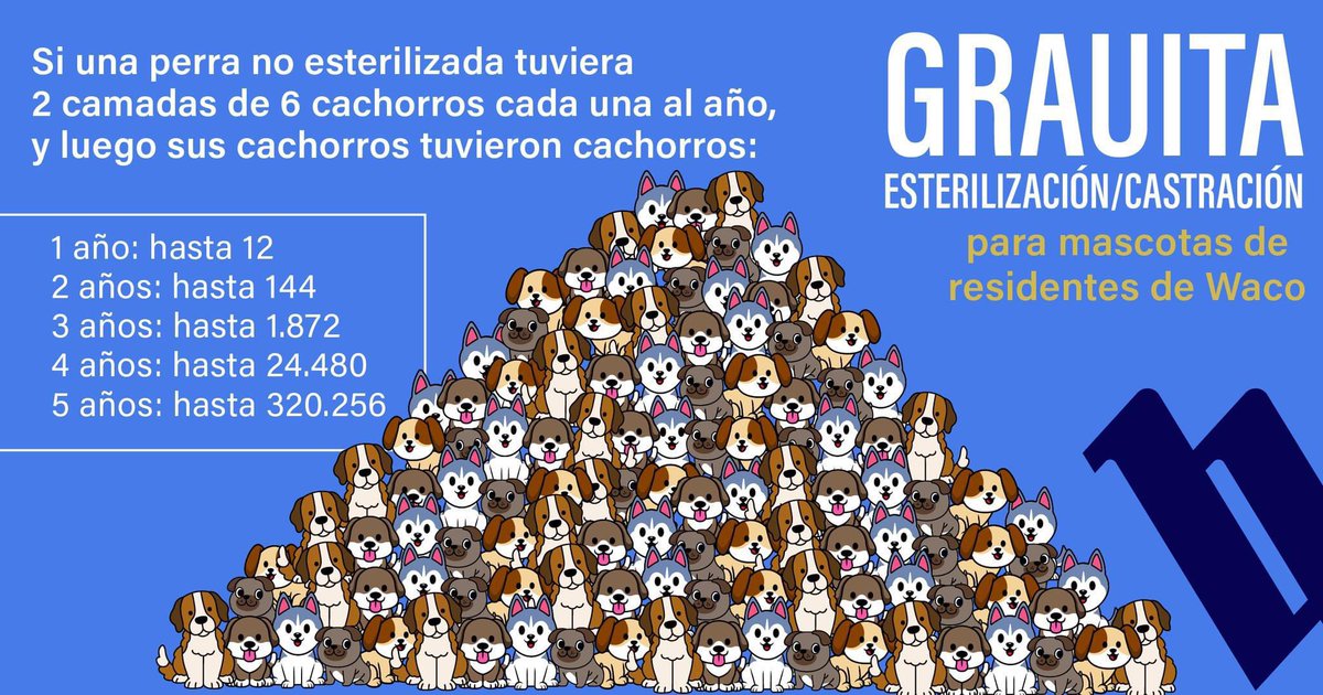 Waco residents qualify for FREE spay/neuter and microchip for their pets through the Animal Birth Control Clinic!
 
👉 Get more info at Waco-Texas.com/Spay!

#wacotexas #wacotx