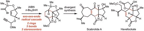 Divergent Synthesis of Scabrolide A and Havellockate via an exo-exo-endo Radical Cascade

@J_A_C_S #Chemistry #Chemed #Science #TechnologyNews #news #technology #AcademicTwitter #AcademicChatter 

pubs.acs.org/doi/10.1021/ja…