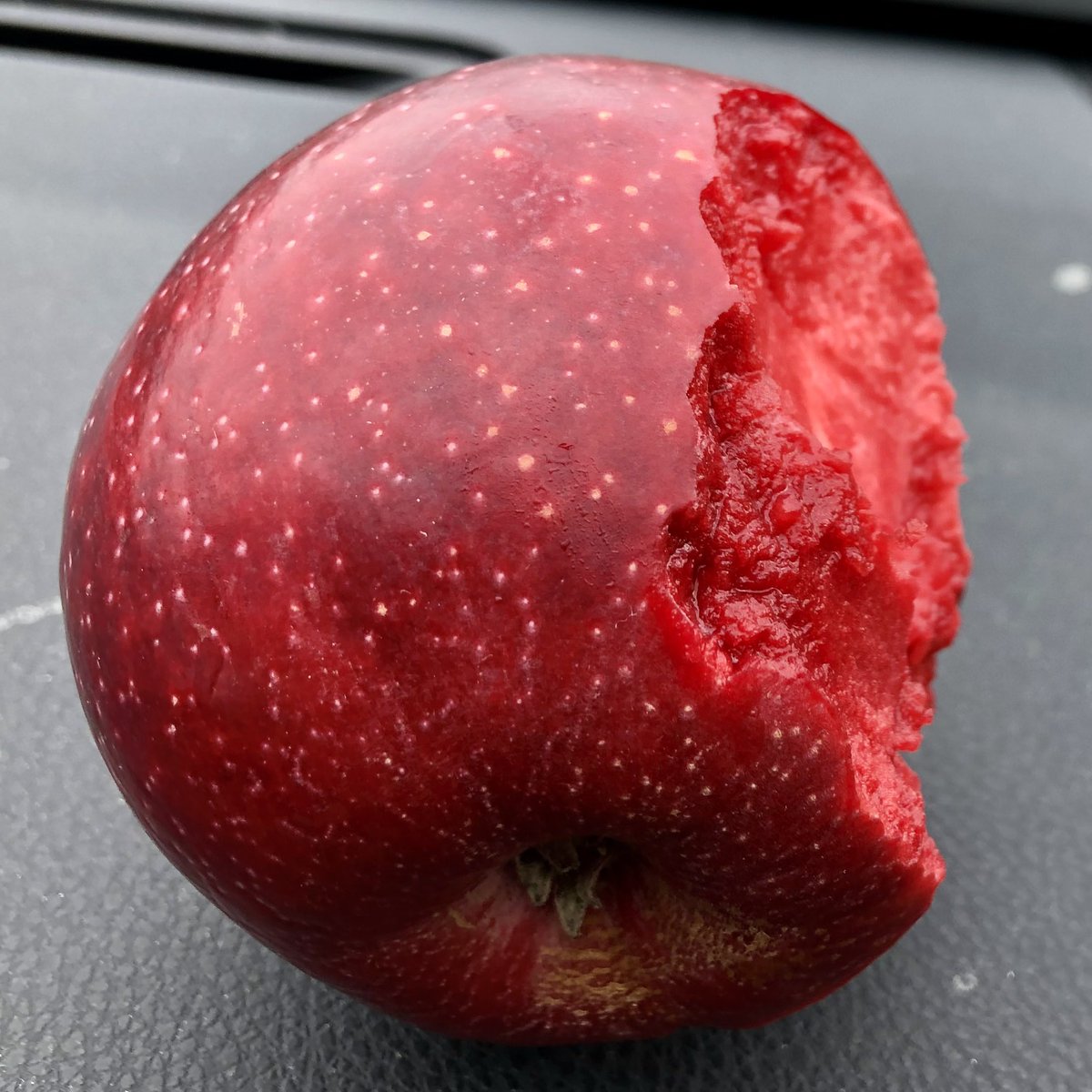 A tasty red-fleshed #Apples that has high levels of expression of MYB10 gene #PlantBreeding #PlantGenetics