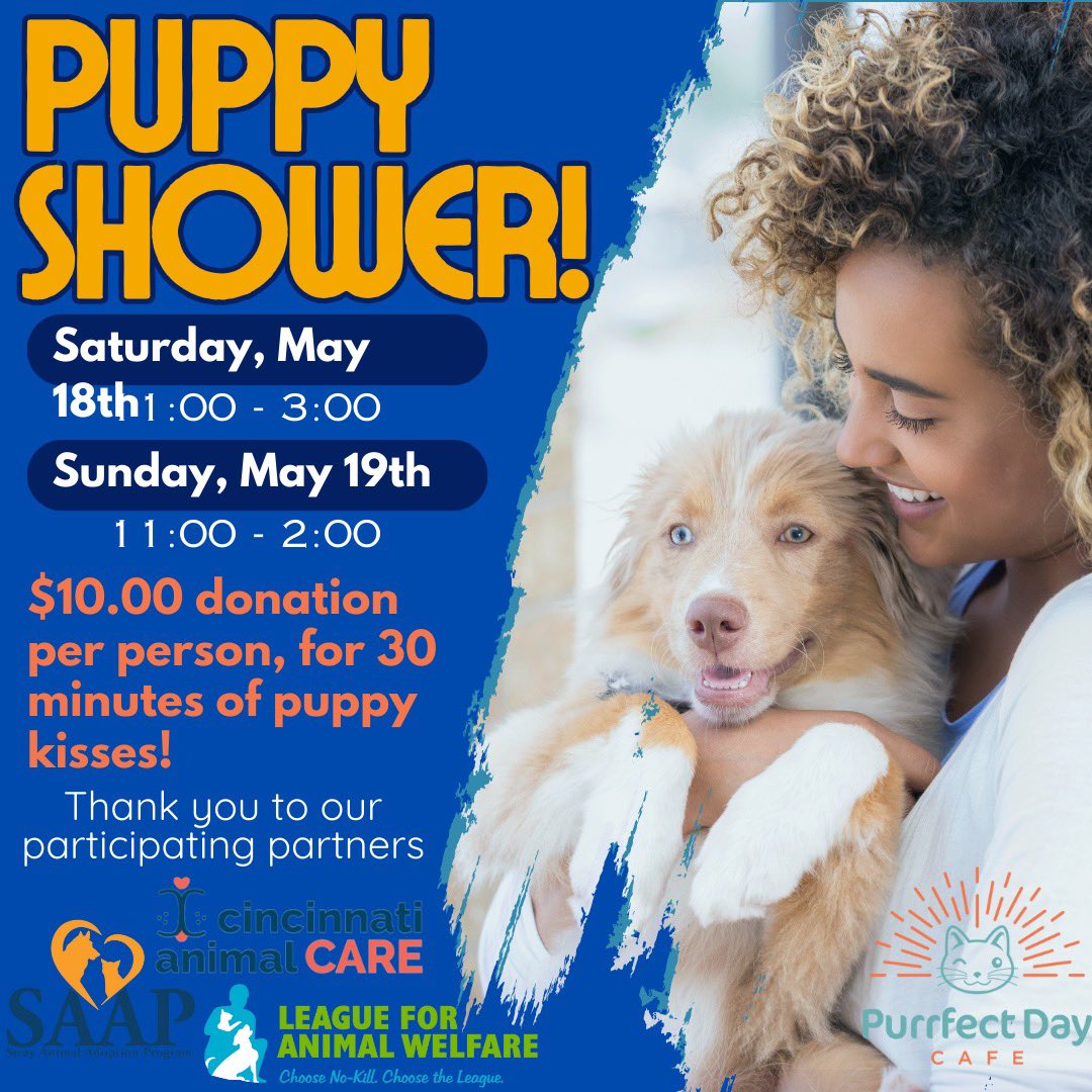 Purrfect Day Cafe (@purrfectdaycafe) on Twitter photo 