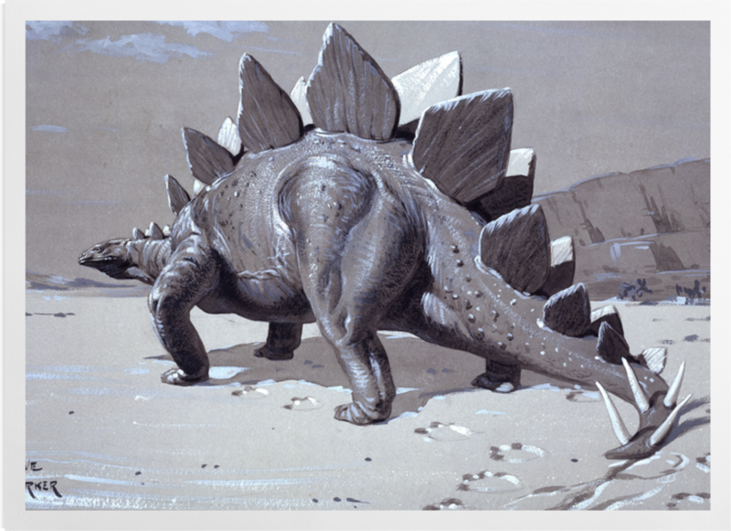 Outdated stegosaurus depictions my beloved
