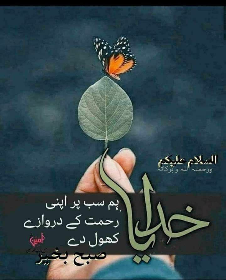 *السلام وعلیکم* *اللّٰہ کریم ہم سب کو کائنات میں موجود ریت کے ذروں، پانی کے قطروں، درختوں کے پتوں اور آسمان کے ستاروں سے زیادہ خوشیاں عطا فرمائے،* *ہر بیماری، پریشانی، مصیبت اور آزمائش سے محفوظ رکھے،* *حلال اور وسیع رزق عطا فرمائے اور اپنے سوا کسی کا محتاج نہ کرے.* *صبح بخیر*