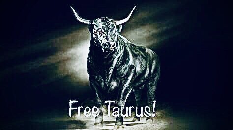 #TaurusForUkraine