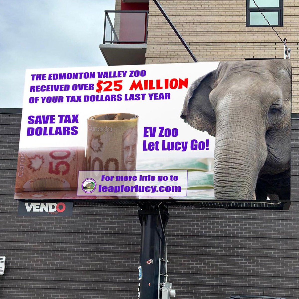 THANK YOU to everyone who donated to keeping Lucy's billboard up on Whyte Avenue.  We switched the image up for the summer to remind the people of Edmonton that their tax dollars are funding her incarceration here at the EVZ. 
#SanctuaryForLucy
#RetireLucy 💜
@AmarjeetSohiYEG 👇