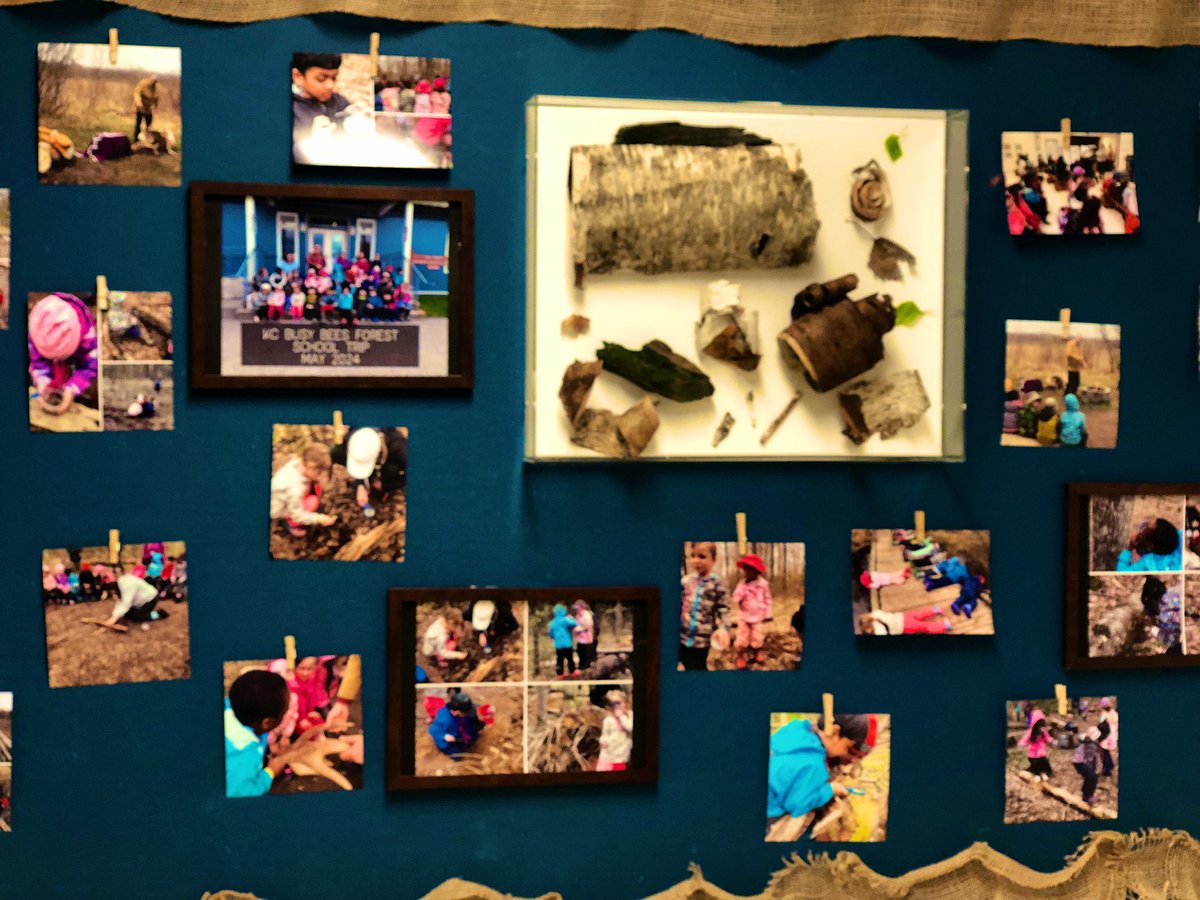 Nasim Askarinasab (@askarinasim) on Twitter photo Today we reflected as a class on our last week #ocsbOutdoors field trip <a href="/OCDSBoec/">OCDSB Outdoor Centres</a> Bill Mason Centre & created a memory box with all down & dead nature loose parts our Ss collected! ♥️💚 #ocsbBeWell #ocsbJoy #ocsbKinder #ocsbForest <a href="/StAnneOCSB/">St. Anne School</a> <a href="/ocsbindigenous/">OCSB Indigenous Ed</a> <a href="/ocsbEco/">ocsbECO</a> <a href="/ocsbArts/">OCSB Arts</a> Today we reflected as a class on our last week #ocsbOutdoors field trip <a href="/OCDSBoec/">OCDSB Outdoor Centres</a> Bill Mason Centre & created a memory box with all down & dead nature loose parts our Ss collected! ♥️💚 #ocsbBeWell #ocsbJoy #ocsbKinder #ocsbForest <a href="/StAnneOCSB/">St. Anne School</a> <a href="/ocsbindigenous/">OCSB Indigenous Ed</a> <a href="/ocsbEco/">ocsbECO</a> <a href="/ocsbArts/">OCSB Arts</a>