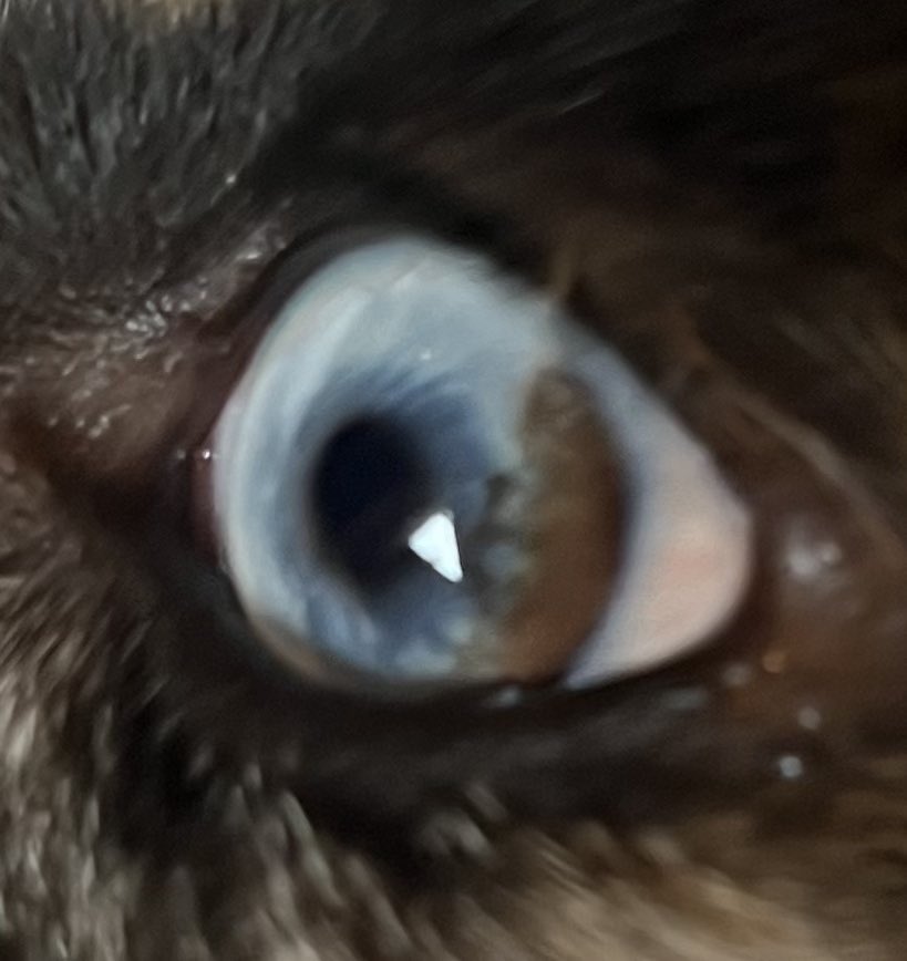Stormy’s eye is cool.