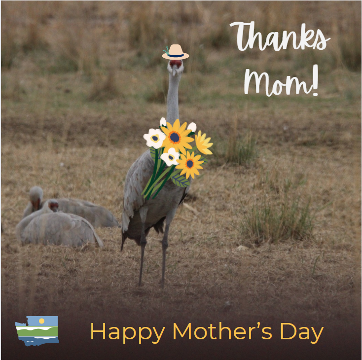 Wishing all mothers a #HappyMothersDay!