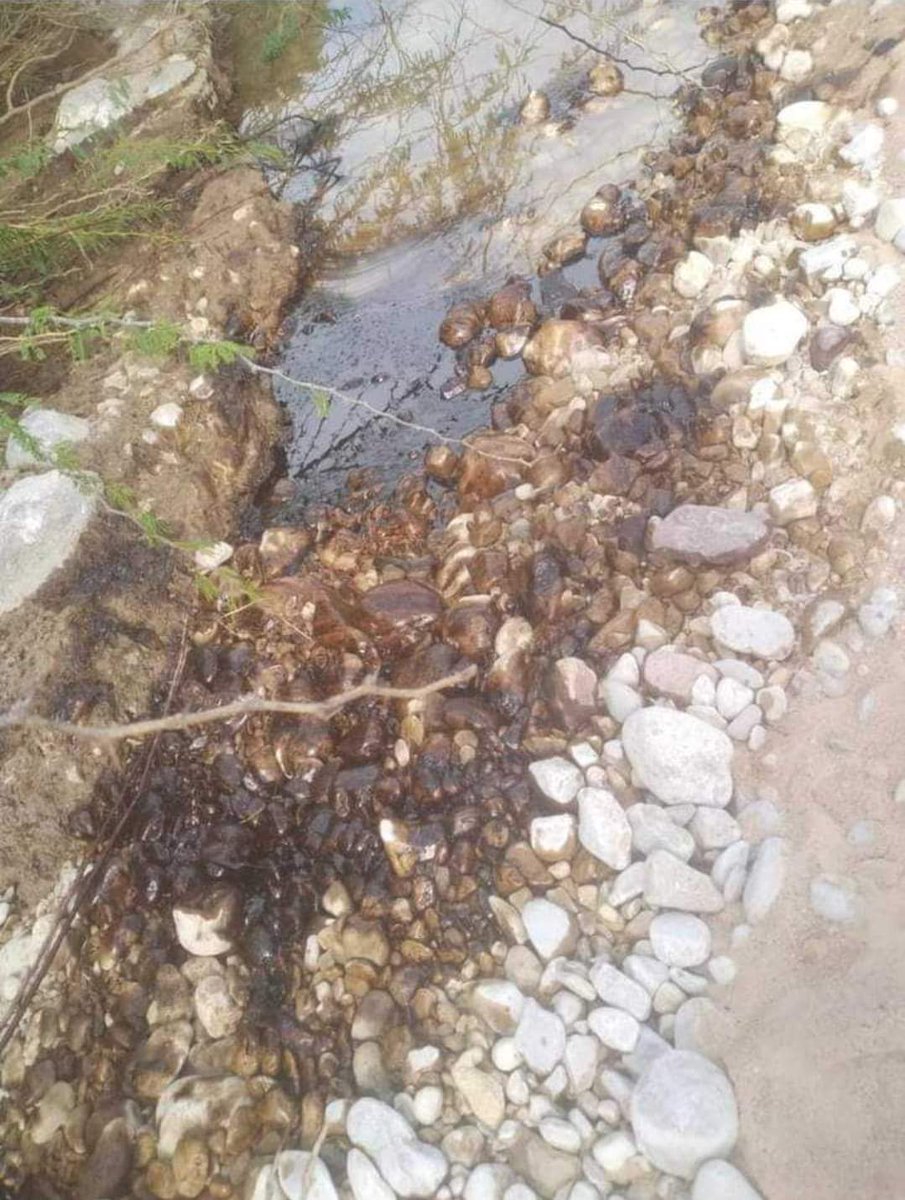 #شبوة

تسرب نفطي من أحد انابيب نقل النفط الخام من عياذ إلى المشيمة بمنطقة لماطر بمديرية حبان، حيث اقترب التسريب من آبار مياه الشرب ماينذر بكارثة بيئية تهدد حيات المواطنين اثر اختلاطها بمياة الشرب..