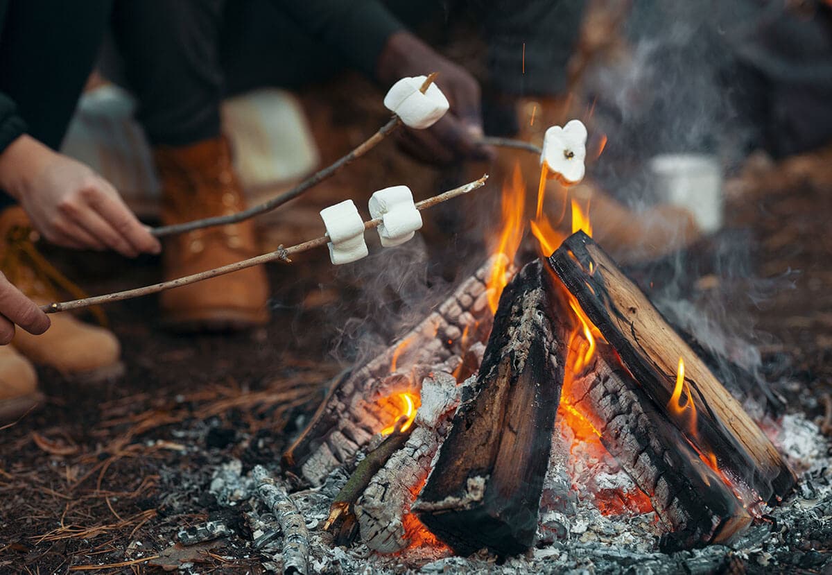 Create lasting memories surrounded by nature's embrace, one campfire tale at a time. 🔥⛺️ 

#CampfireStories #MemoriesMadeOutdoors #NatureBonding #OutdoorAdventures #CampLife #FamilyTime #AdventureAwaits #WildernessExploration #CampingMemories #ConnectWithNature
