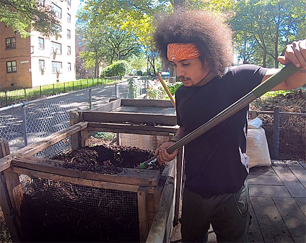 NYC Mayor's Office of Urban Agriculture tweet media