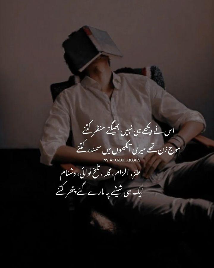 us ne dekhe hi nahi bheegte manzar kitne
mouj zan thhey mere aankhon mein samandar kitne

tanz, ilzaam, gilah, talkh nawai, dashnaam
ek hi sheeshe peh maare gaye patthar kitne. 

#urdu__quotes 
#urdu__quotes__shortpoetry