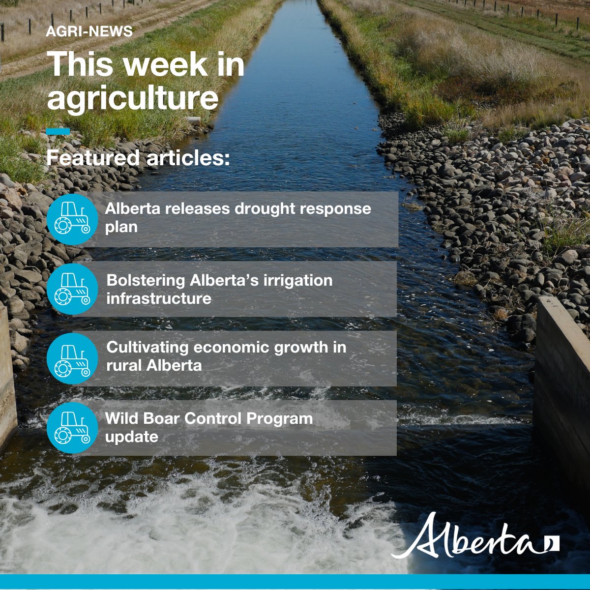 This week in Agri-News: 📄 Alberta releases drought response plan 💧 Bolstering Alberta’s irrigation infrastructure 📈 Cultivating economic growth in rural Alberta 🐗 Wild Boar Control Program update 🎈 Markets, events and more! secure.campaigner.com/CSB/Public/arc… #abag