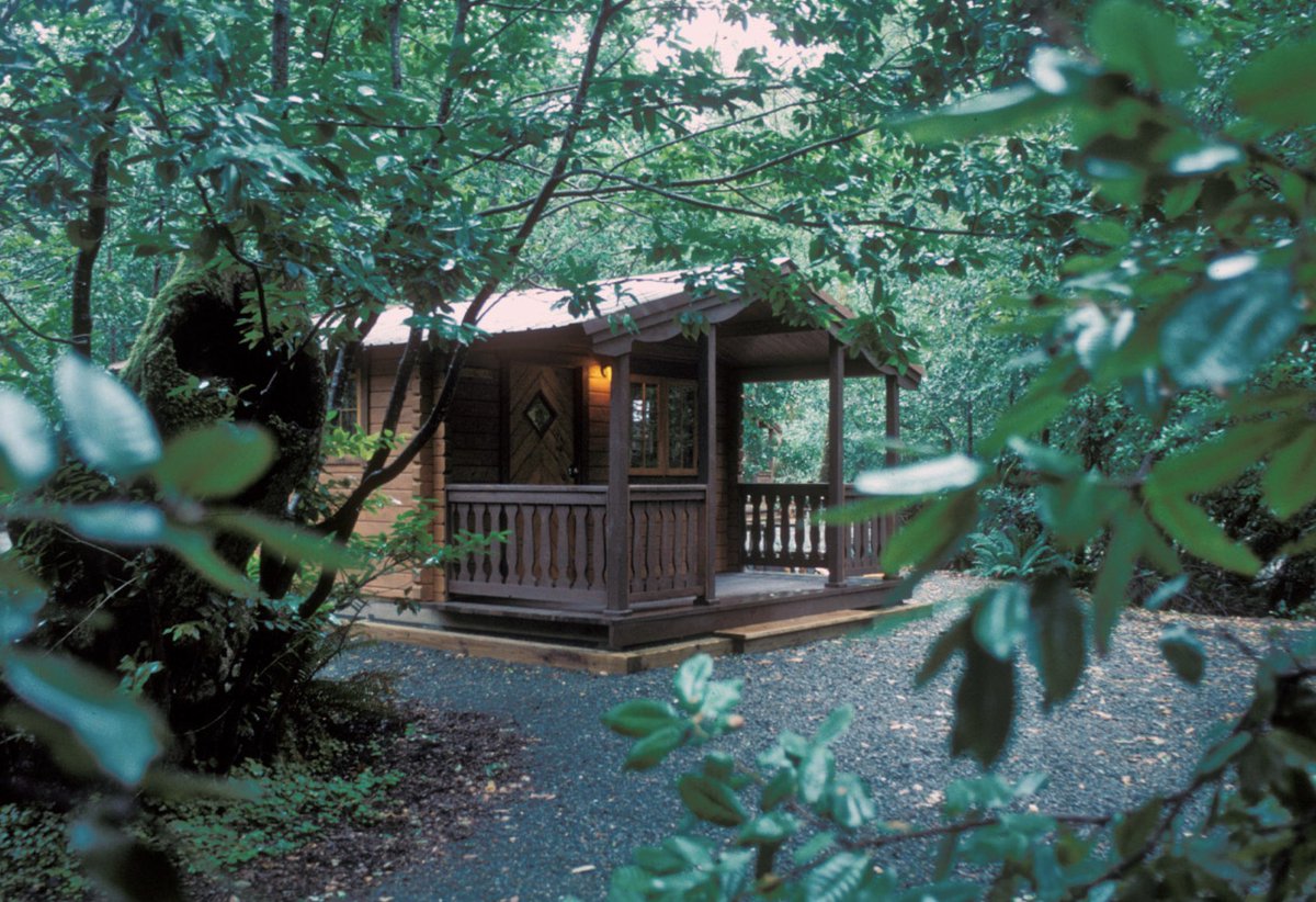 Looking for a quiet coastal campground to visit this summer?  We’ve rounded up our favorites for you:  bit.ly/3yaaYgf