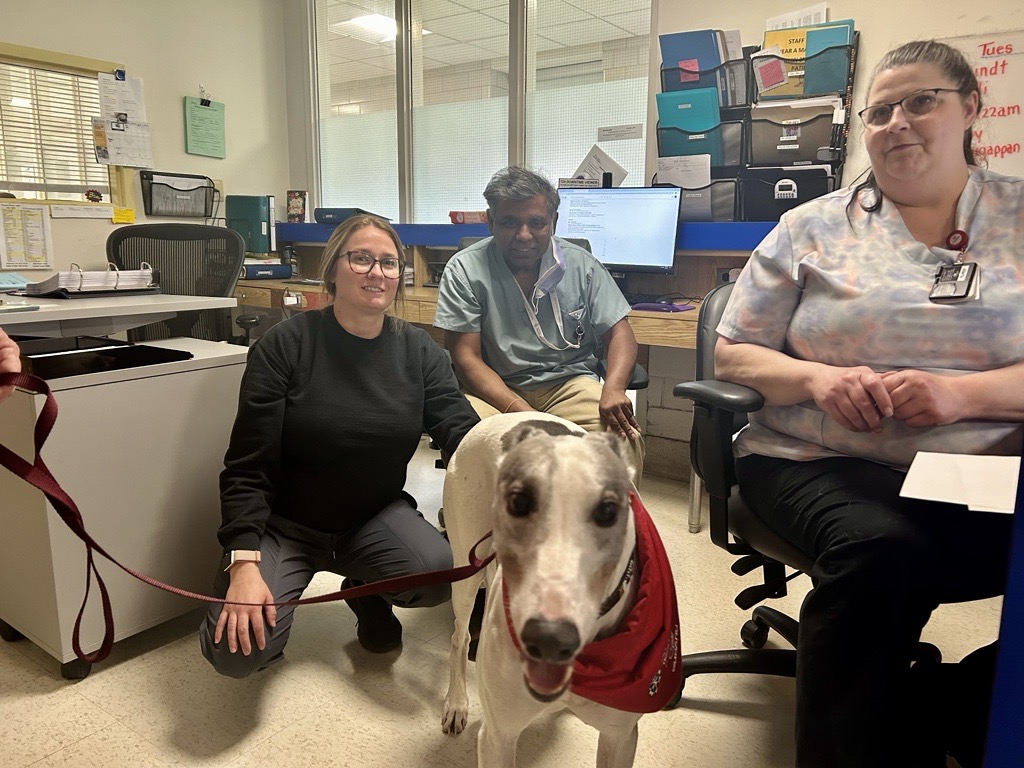 CKHA Today 📸: This afternoon, our Chatham Site welcomed six St. John Ambulance Therapy Dogs as part of Nurses’ Week festivities. These delightful furry friends strolled through the hospital, spreading joy among our staff, physicians and volunteers. 🦮🐾 #CKHA #CKont