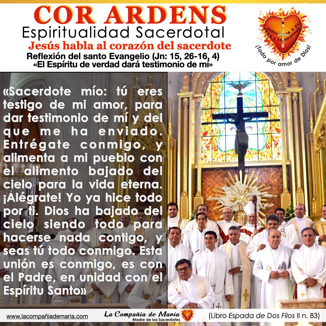 Oramos por todos los sacerdotes, para que la Palabra de Dios, que es como espada de dos filos, haga arder sus corazones. 🙏 #sacerdote #iglesiacatolica #lacompañiademaria #evangelio #oracion #maternidadespiritual @IglesiaMexico @ArquidiocesisT