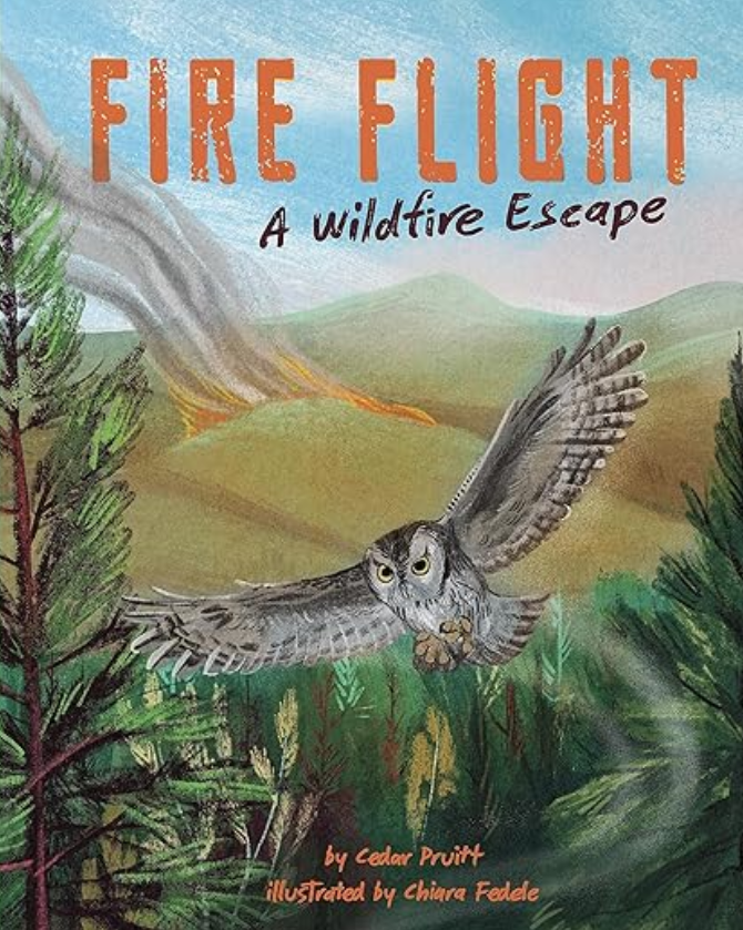 PB’s I’m loving: my copy of Fire Flight, A Wildfire Escape, @CedarsStories, Chiara Fedele, Capstone Editions arrived, and boy did it deliver! A little owl finds sanctuary with a fellow flyer of human making. #PictureBooks, #ChildrensBooks, #ChewyReviewy, #WritingCommunity.