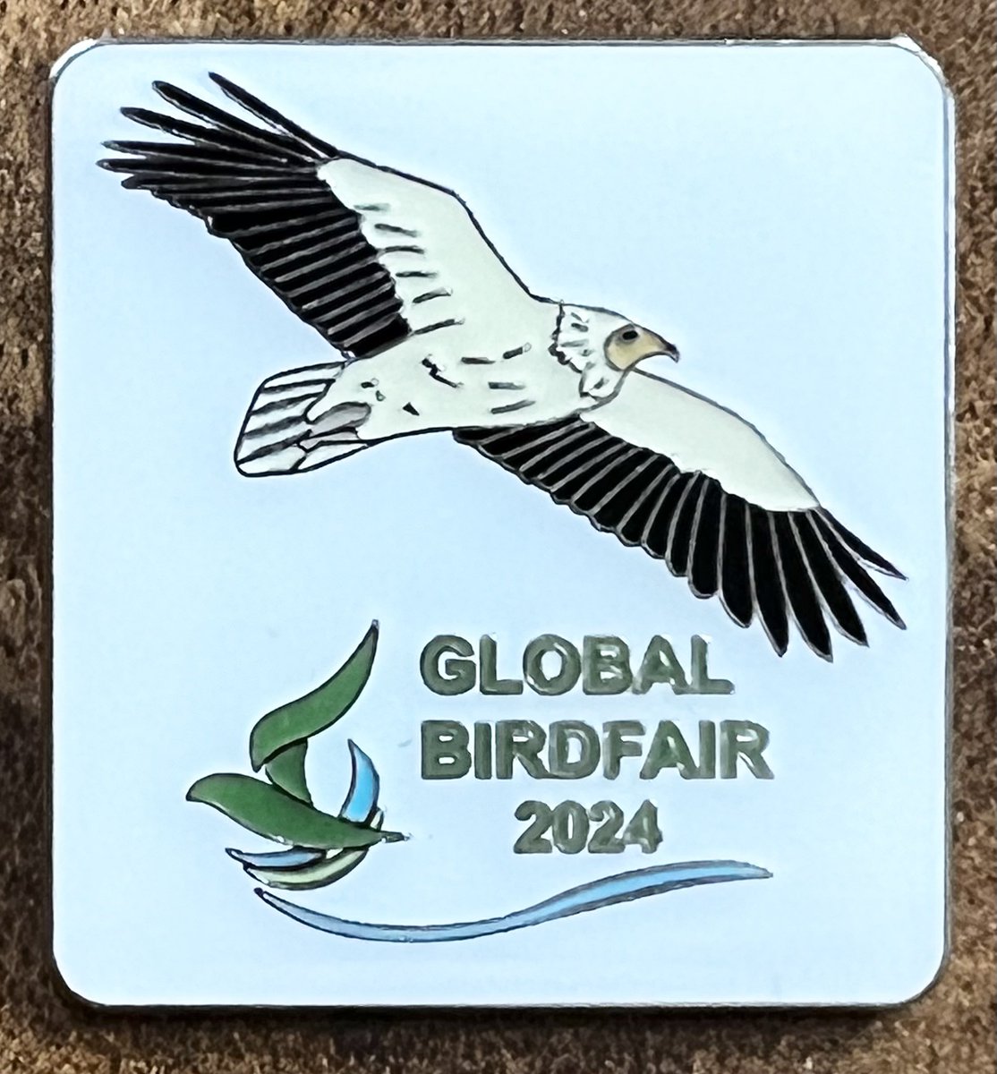 UK Birding releases: 139-Barrow’s Goldeneye 140-Black-billed Cuckoo Plus delighted to be able to share the official pin badge for this year’s Global Birdfair #globalbirdfair @Rutlandbirds