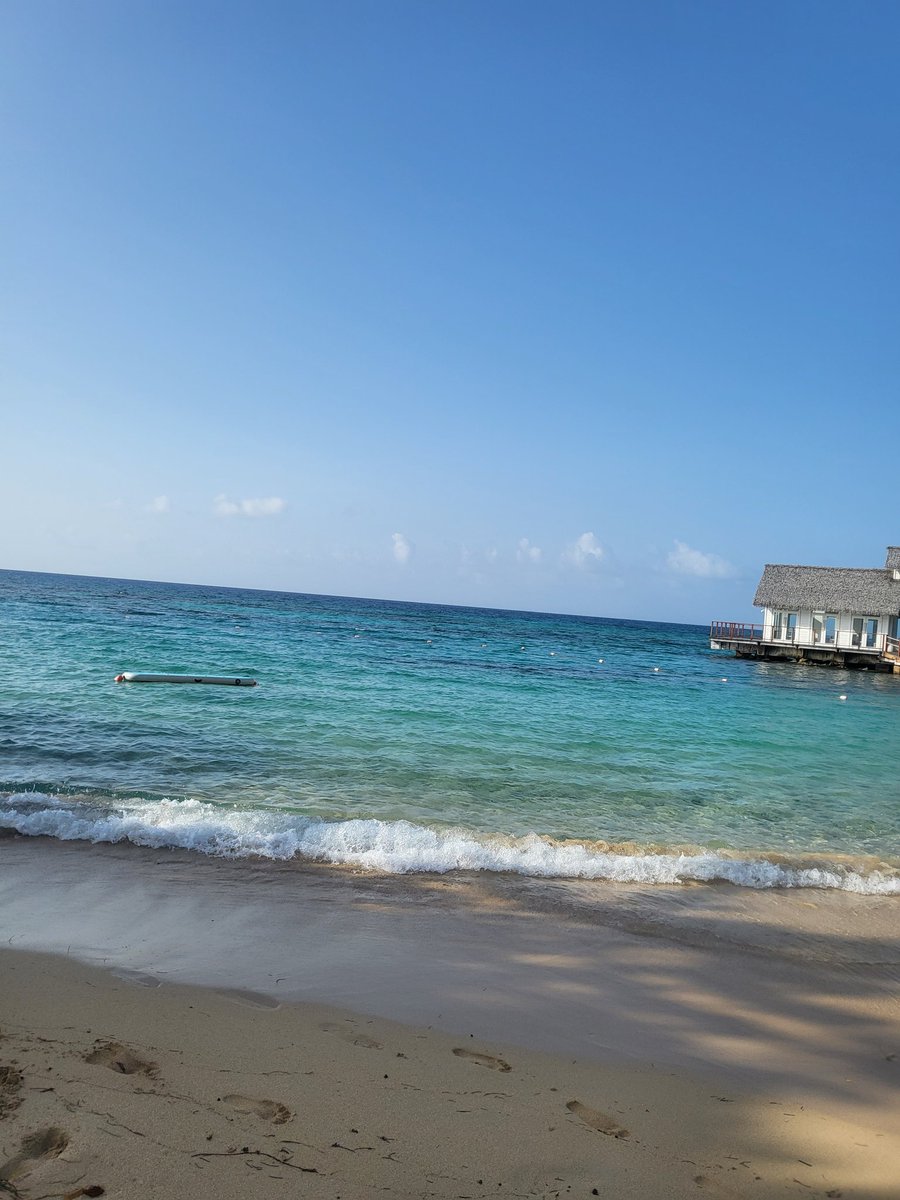 BatsyBrittany's tweet photo. Less than 100 days and I'll be back in paradise ✨️ 🌊 https://t.co/FvVCHZmyvx