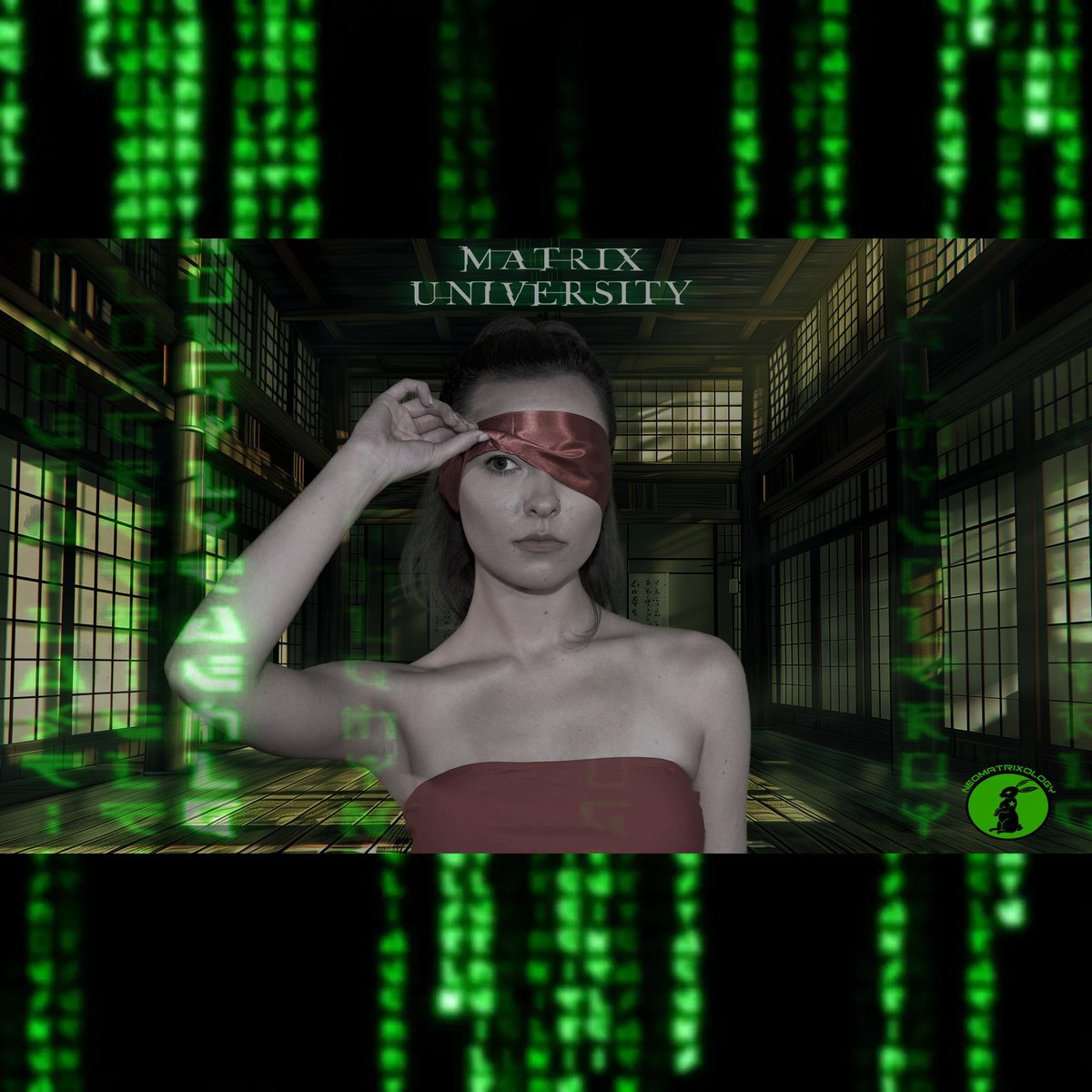 NeoMatrixology's tweet image. Leaked a sneak peek of &apos;The Potentials&apos; poster art in the Yellow-pilled channel @ the Matrix University Discord 👁🐇🕳

agentsyndicate.online

#Matrix #ProjectMatriculated #TheAnimatrix #MatrixMonday #Jue #Cosplay #CosplayMonday  #TheMatrix #MatrixCosplay #MatrixMondays