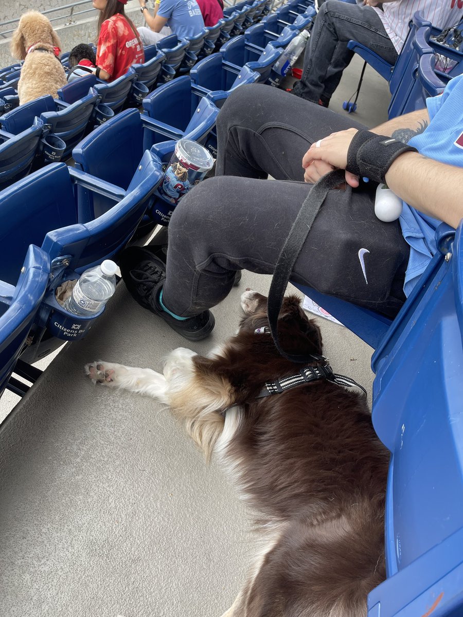 samiamsharp's tweet photo. Dog Nap @ the @phillies #barkinthepark https://t.co/dwpwn0GbFw