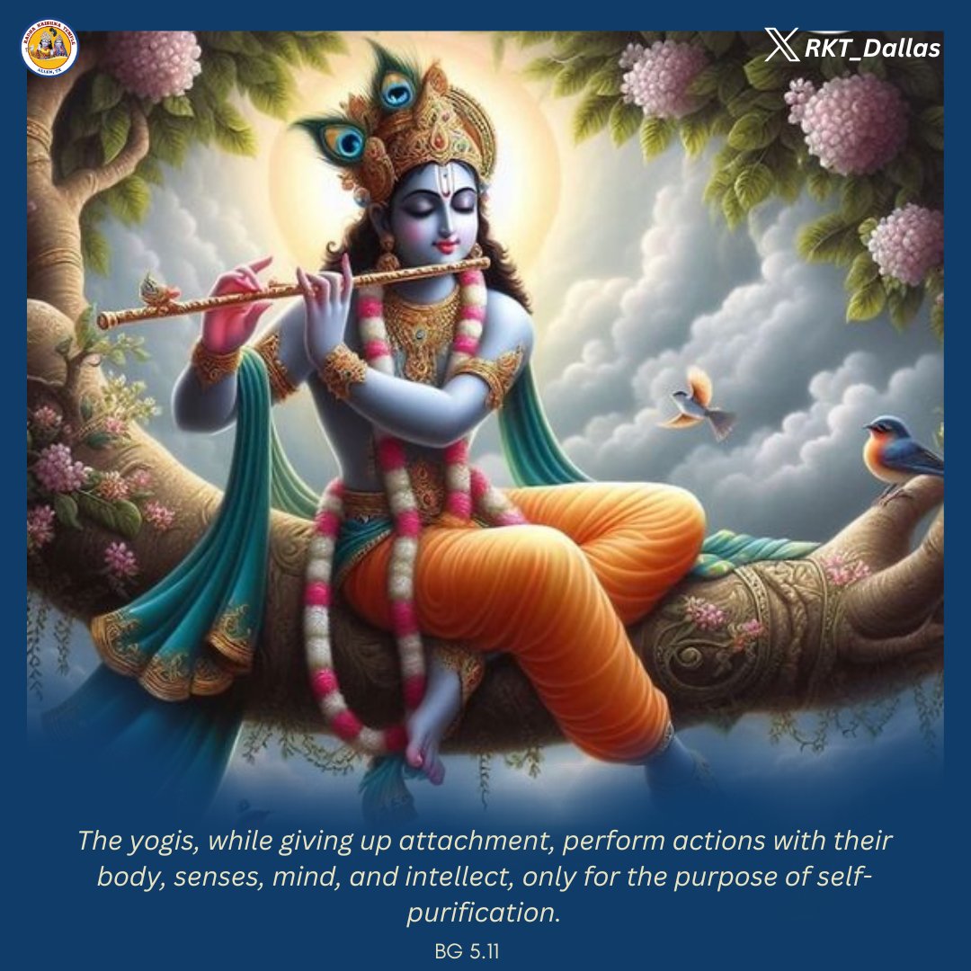 Jai Shri Krishna 🌻 The yogis, while giving up attachment, perform actions with their body, senses, mind, and intellect, only for the purpose of self-purification. BG 5.11 #BhagavadGita #Krishna #spirituality #devotion #quotes #Wisdom #VerseOfTheDay
