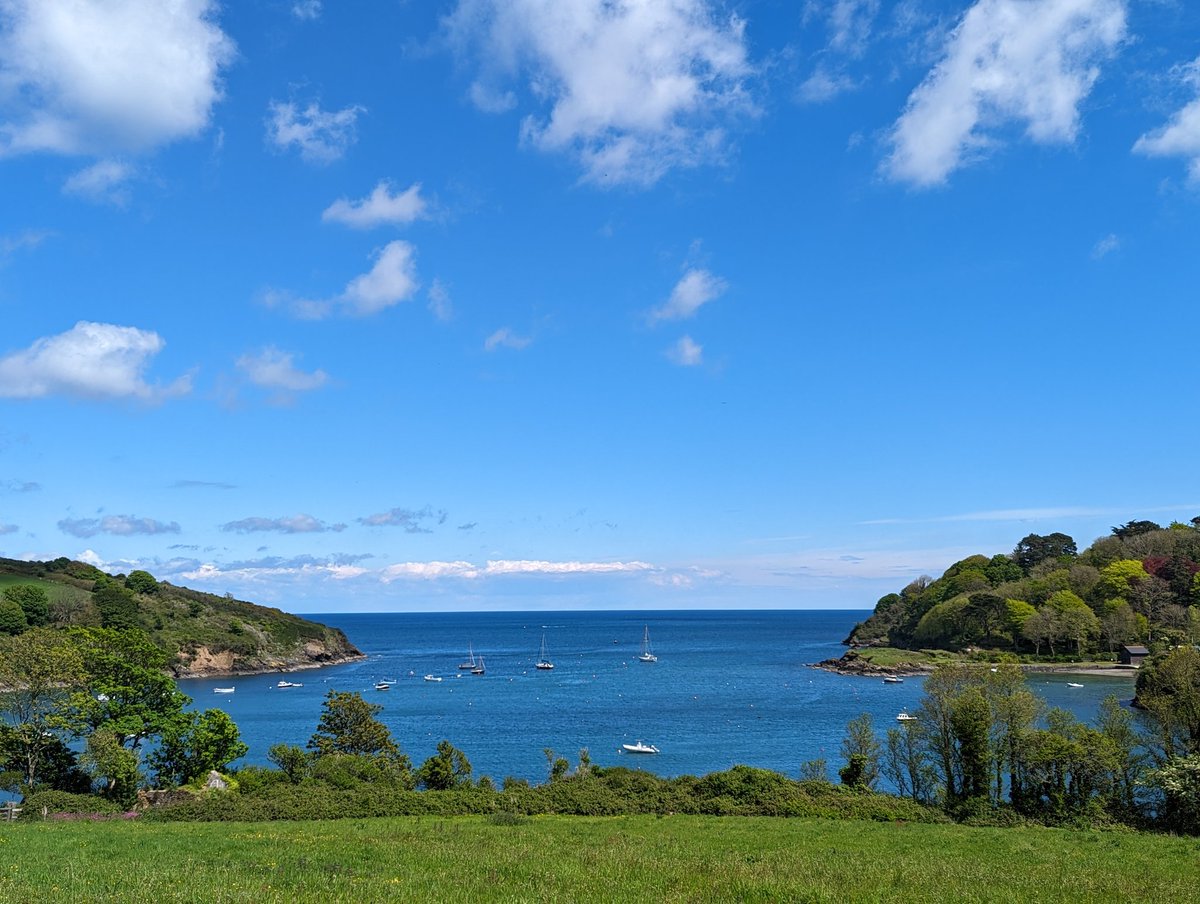 Cornwall being very Cornwall today... lovely walk from Porthallow to Gillan along <a href="/swcoastpath/">South West Coast Path Association</a> #cornwall #beach #hike