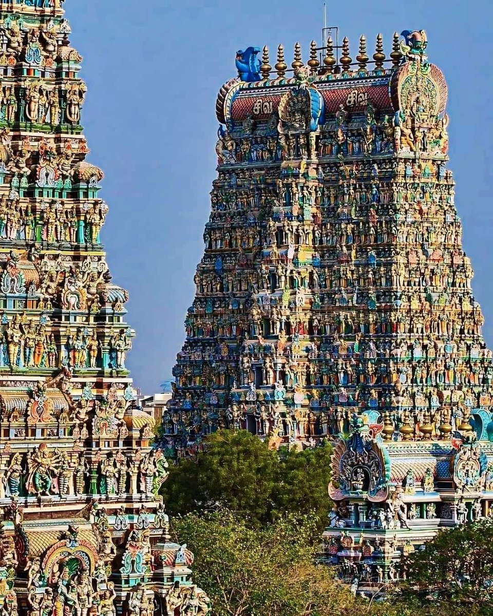Best View of Minakshi Temple Madurai Tamilnadu, India 🇮🇳📸💚

#india #visitindia #indiatourism #indiatrip #travel #photography #artandall #architecture