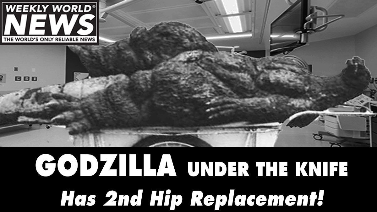 The surgery went well. It may have to spend a week in rehab... but it should be back out there soon... and with no more pain! #godzilla #hips #hipreplacement #oldschool #presstoure #mothra #surgery