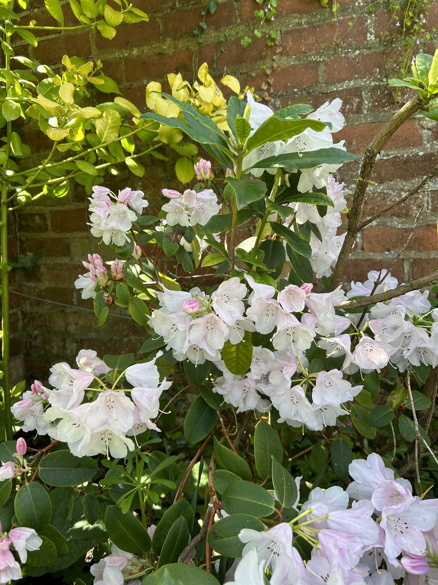 Mary Busk tweet media