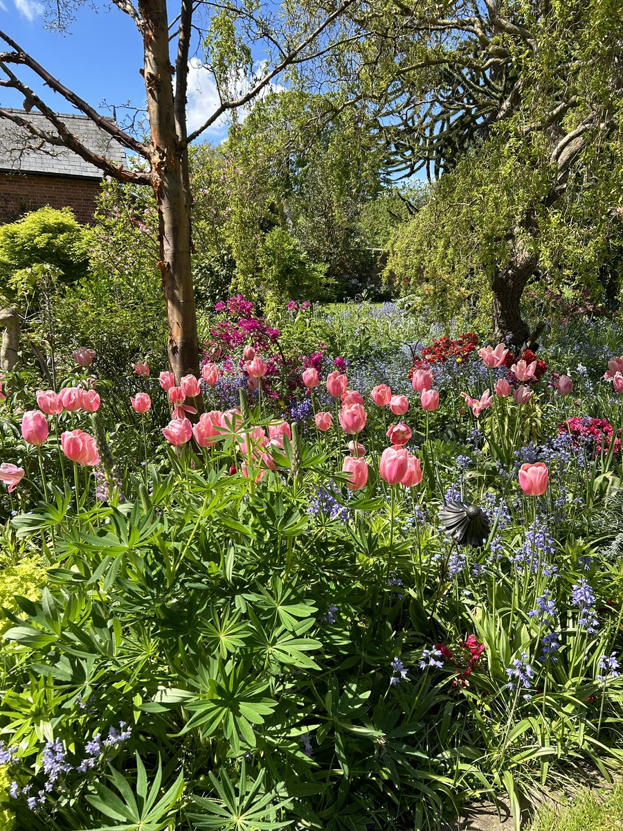 Mary Busk tweet media