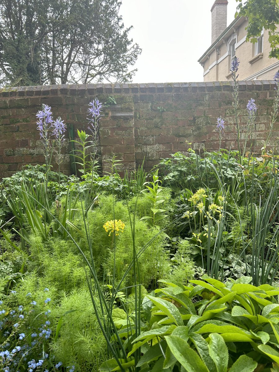 Mary Busk tweet media