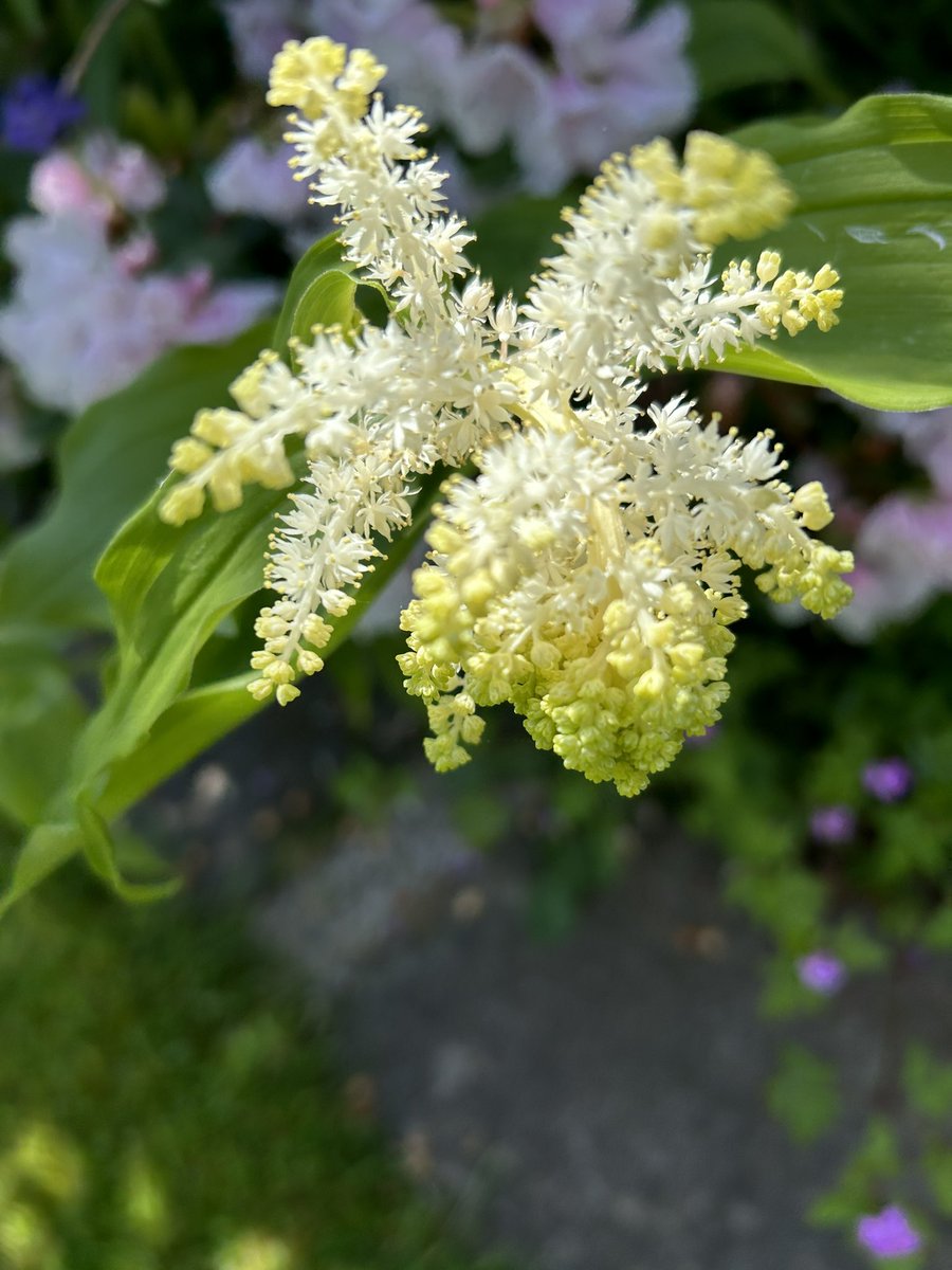 Mary Busk tweet media