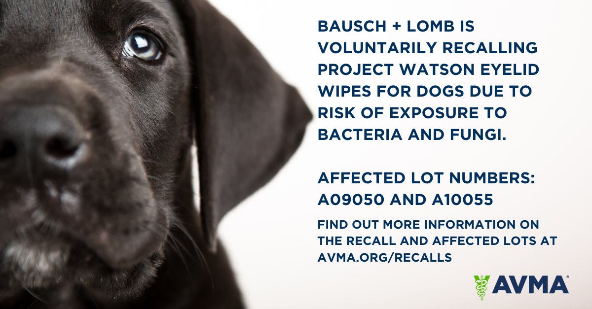 RECALL ALERT - Bausch + Lomb is voluntarily recalling Project Watson Eyelid Wipes for dogs due to risk of exposure to bacteria and fungi. For more information, visit: bit.ly/3QA2GER